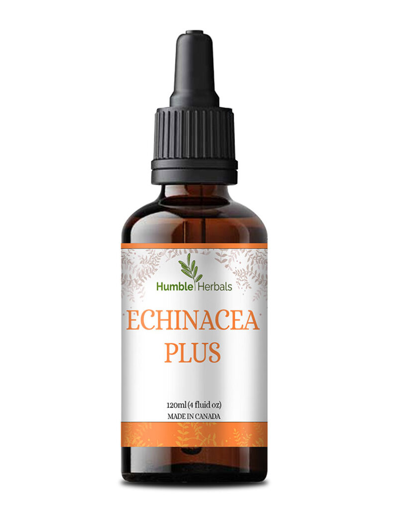 Humble Herbals - Echinacea Plus